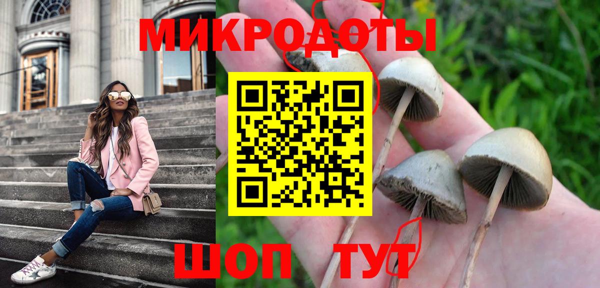Псилоцибиновые грибы Magic Shrooms Казань