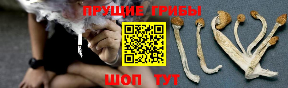Галлюциногенные грибы GOLDEN TEACHER  Галлюциногенные грибы Magic Shrooms  Вход с VPN  Казань 